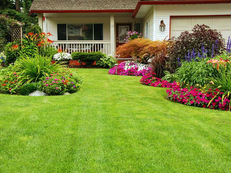 essex gardening 4