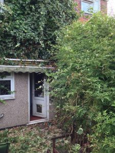 garden maintenance services 051