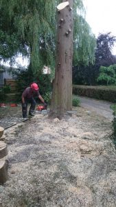 essex landscaping experts 01 1