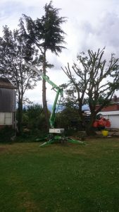 essex landscaping experts 02 1