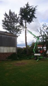 essex landscaping experts 03 1