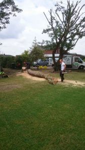 essex landscaping experts 04 1