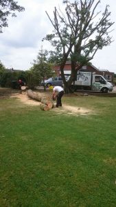 essex landscaping experts 05 1