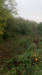 essex landscaping experts 23 1