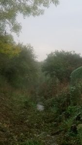 essex landscaping experts 24 1