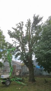 essex landscaping experts 29 1