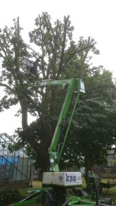 essex landscaping experts 30 1