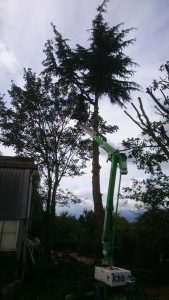 essex landscaping experts 32 1