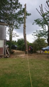 essex landscaping experts 33 1