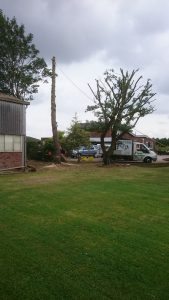 essex landscaping experts 34 1