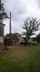 essex landscaping experts 35 1