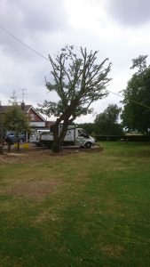 essex landscaping experts 36 1