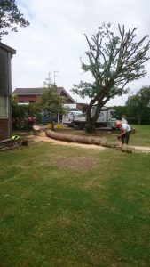 essex landscaping experts 38 1