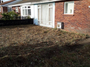 brecon gardening 05
