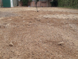 brecon gardening 07