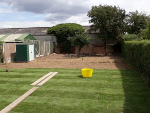 brecon gardening 10
