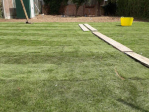 brecon gardening 11