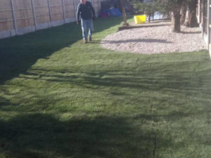 brecon gardening 12