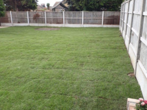 brecon gardening 16