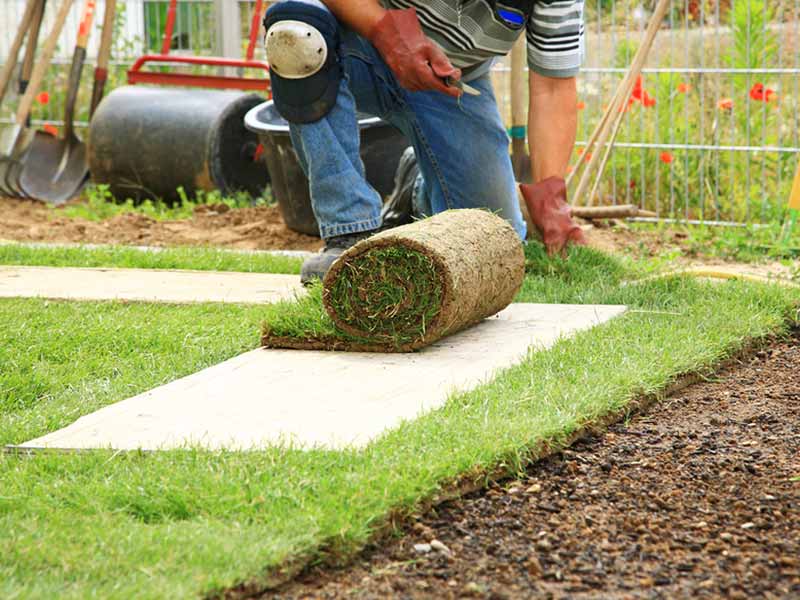 turf laying turf laying